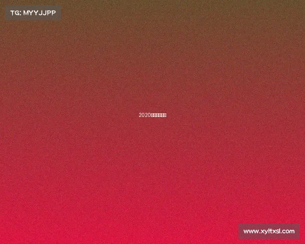 2020年散打冠军赛